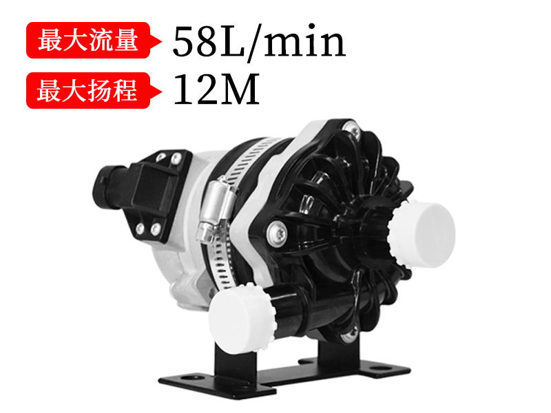 P8001汽車電子泵(13.5v/24v)